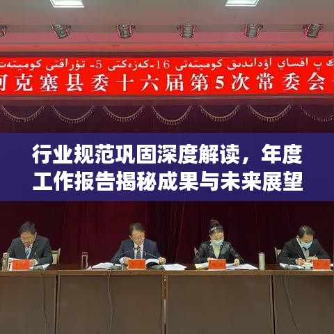 行業(yè)規(guī)范鞏固深度解讀，年度工作報告揭秘成果與未來展望