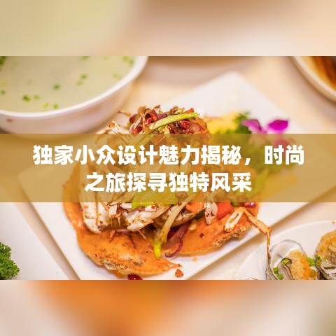 獨(dú)家小眾設(shè)計(jì)魅力揭秘，時(shí)尚之旅探尋獨(dú)特風(fēng)采