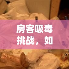 房客吸毒挑戰(zhàn)，如何應(yīng)對與責任擔當專題解析