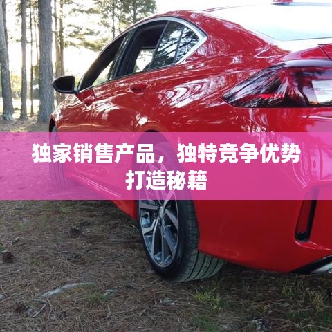 獨(dú)家銷售產(chǎn)品，獨(dú)特競(jìng)爭(zhēng)優(yōu)勢(shì)打造秘籍