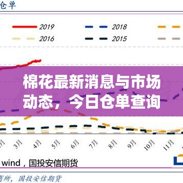 棉花最新消息與市場動(dòng)態(tài),今日倉單查詢概覽