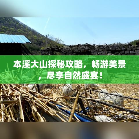 本溪大山探秘攻略，暢游美景，盡享自然盛宴！