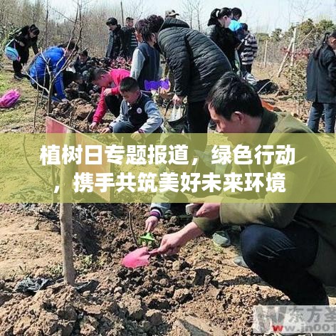 植樹日專題報(bào)道，綠色行動(dòng)，攜手共筑美好未來環(huán)境