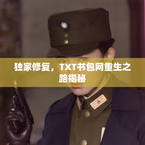 獨(dú)家修復(fù)，TXT書包網(wǎng)重生之路揭秘