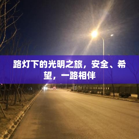 路燈下的光明之旅，安全、希望，一路相伴