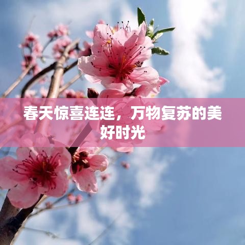 春天驚喜連連，萬物復(fù)蘇的美好時光