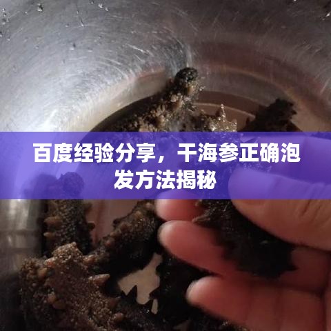 百度經(jīng)驗分享，干海參正確泡發(fā)方法揭秘