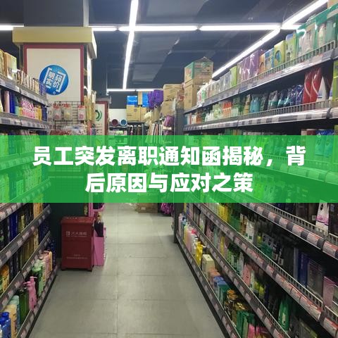 員工突發(fā)離職通知函揭秘，背后原因與應(yīng)對之策