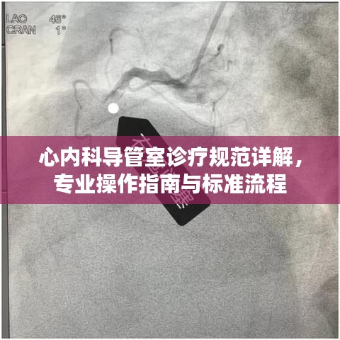 心內(nèi)科導(dǎo)管室診療規(guī)范詳解，專業(yè)操作指南與標(biāo)準(zhǔn)流程