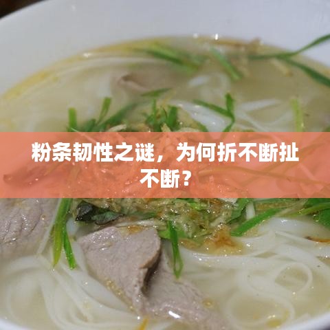 粉條韌性之謎，為何折不斷扯不斷？