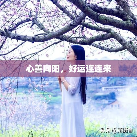 心善向陽，好運(yùn)連連來