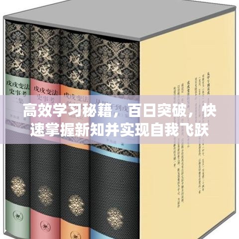 高效學(xué)習(xí)秘籍，百日突破，快速掌握新知并實(shí)現(xiàn)自我飛躍
