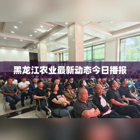 黑龍江農(nóng)業(yè)最新動態(tài)今日播報