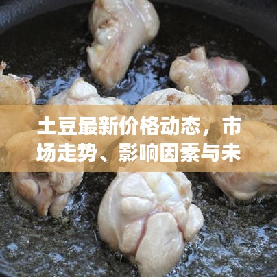 土豆最新價格動態(tài)，市場走勢、影響因素與未來預(yù)測分析