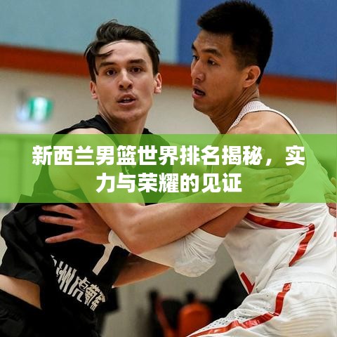 新西蘭男籃世界排名揭秘，實力與榮耀的見證