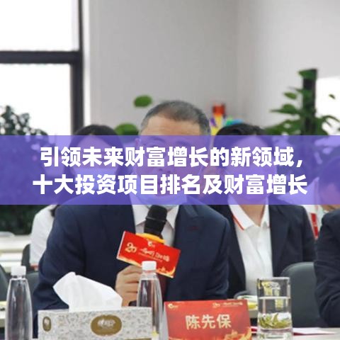 引領(lǐng)未來(lái)財(cái)富增長(zhǎng)的新領(lǐng)域，十大投資項(xiàng)目排名及財(cái)富增長(zhǎng)機(jī)會(huì)分析