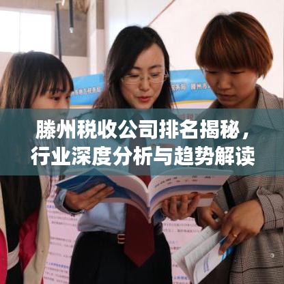 滕州稅收公司排名揭秘，行業(yè)深度分析與趨勢(shì)解讀