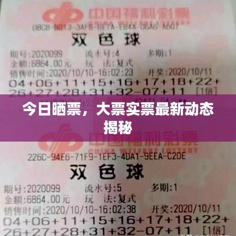 今日曬票，大票實(shí)票最新動(dòng)態(tài)揭秘