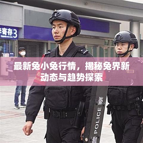 最新兔小兔行情，揭秘兔界新動態(tài)與趨勢探索