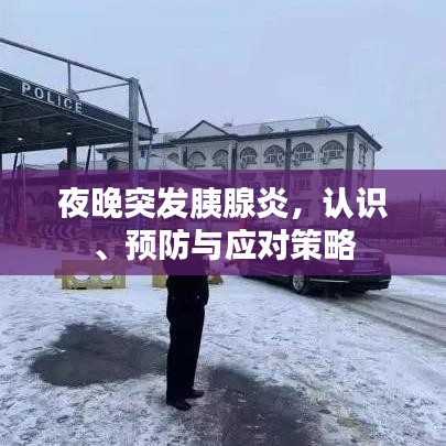 夜晚突發(fā)胰腺炎，認(rèn)識(shí)、預(yù)防與應(yīng)對(duì)策略