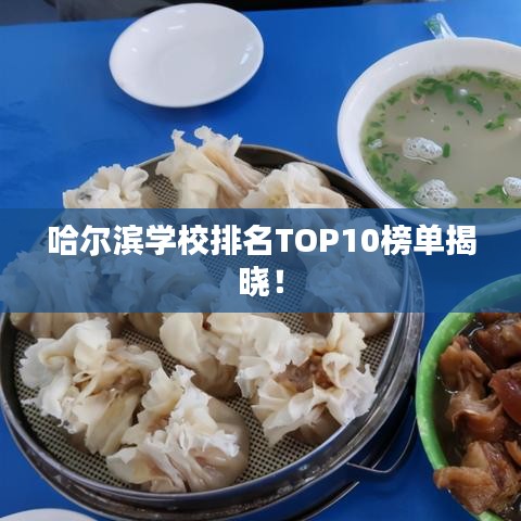 哈爾濱學(xué)校排名TOP10榜單揭曉！
