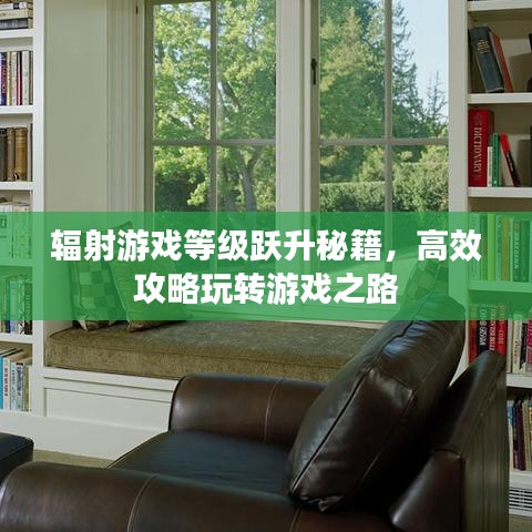 輻射游戲等級躍升秘籍，高效攻略玩轉(zhuǎn)游戲之路