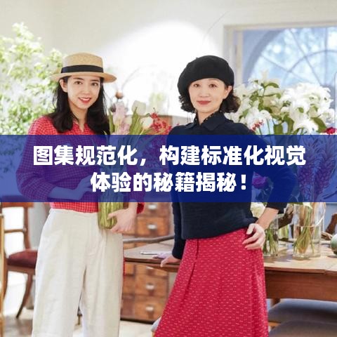 圖集規(guī)范化，構(gòu)建標(biāo)準(zhǔn)化視覺(jué)體驗(yàn)的秘籍揭秘！