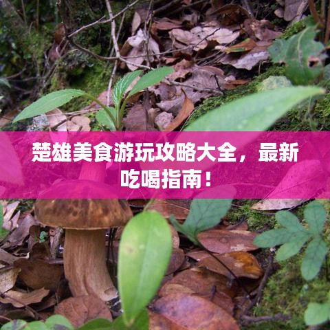 楚雄美食游玩攻略大全，最新吃喝指南！
