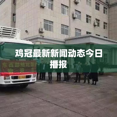 雞冠最新新聞動(dòng)態(tài)今日播報(bào)