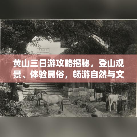 黃山三日游攻略揭秘，登山觀景、體驗(yàn)民俗，暢游自然與文化的盛宴！