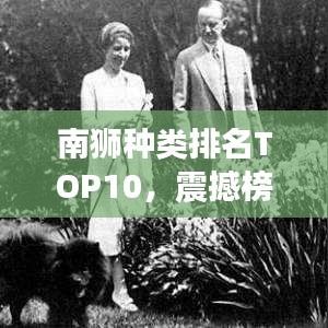 南獅種類排名TOP10，震撼榜單，不容錯過！