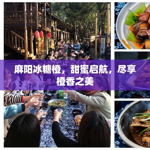 麻陽冰糖橙，甜蜜啟航，盡享橙香之美