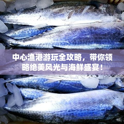 中心漁港游玩全攻略，帶你領(lǐng)略絕美風(fēng)光與海鮮盛宴！