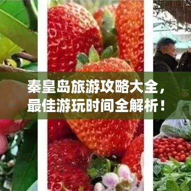 秦皇島旅游攻略大全，最佳游玩時間全解析！