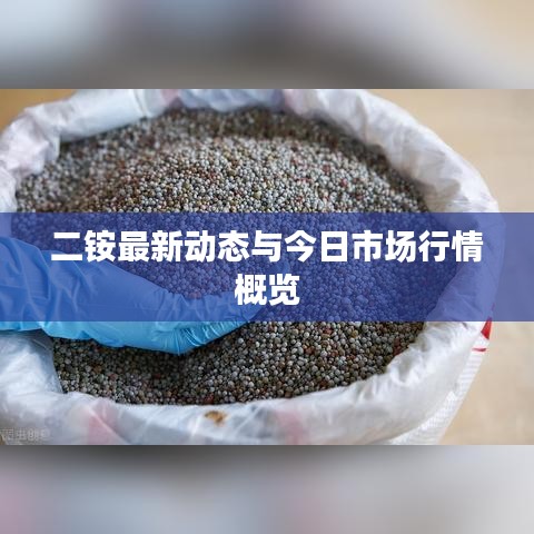 二銨最新動(dòng)態(tài)與今日市場(chǎng)行情概覽