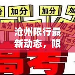 滄州限行最新動態(tài)，限行號查詢指南及政策解析