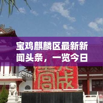 寶雞麒麟?yún)^(qū)最新新聞頭條，一覽今日熱點事件