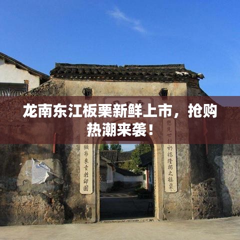龍南東江板栗新鮮上市，搶購(gòu)熱潮來(lái)襲！