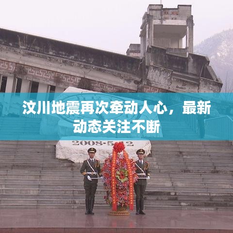 獨(dú)學(xué)寡聞