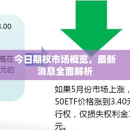 今日期權(quán)市場(chǎng)概覽，最新消息全面解析