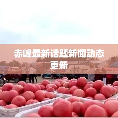 赤峰最新話題新聞動態(tài)更新