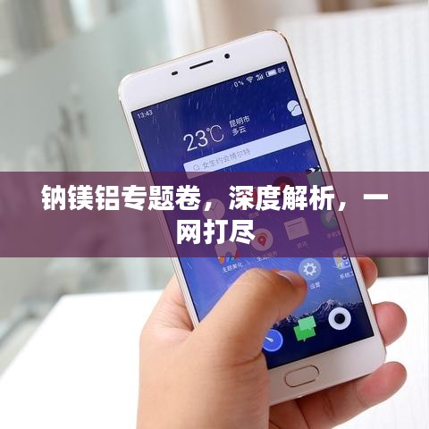 鈉鎂鋁專題卷，深度解析，一網打盡