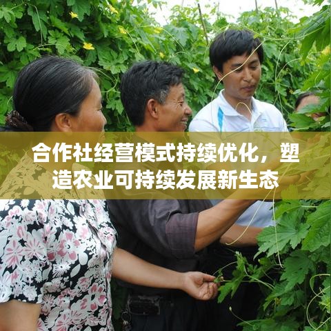 合作社經(jīng)營(yíng)模式持續(xù)優(yōu)化，塑造農(nóng)業(yè)可持續(xù)發(fā)展新生態(tài)