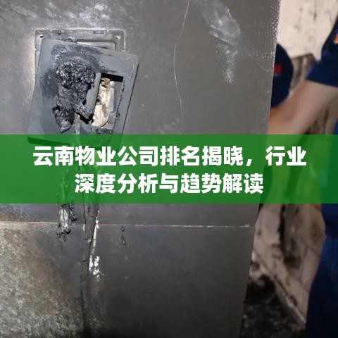 云南物業(yè)公司排名揭曉，行業(yè)深度分析與趨勢解讀