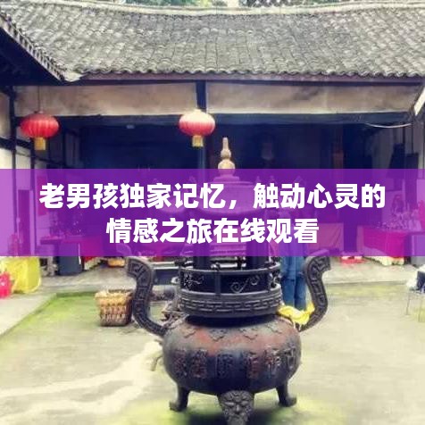 老男孩獨家記憶，觸動心靈的情感之旅在線觀看