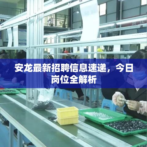 安龍最新招聘信息速遞，今日崗位全解析