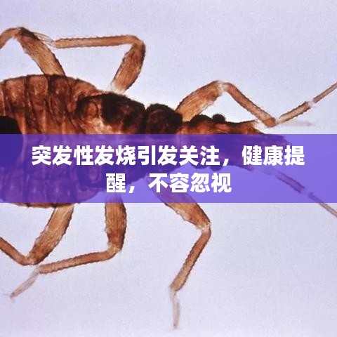 突發(fā)性發(fā)燒引發(fā)關(guān)注，健康提醒，不容忽視