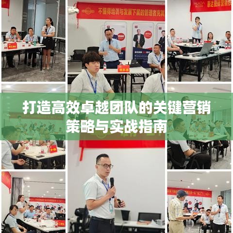 打造高效卓越團(tuán)隊(duì)的關(guān)鍵營銷策略與實(shí)戰(zhàn)指南