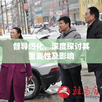 督導(dǎo)細(xì)化，深度探討其重要性及影響