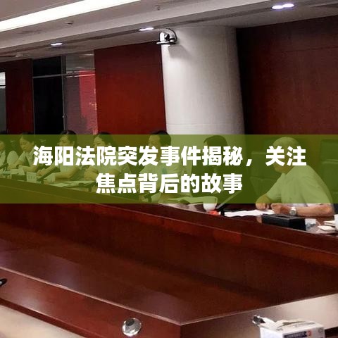 海陽法院突發(fā)事件揭秘，關(guān)注焦點(diǎn)背后的故事